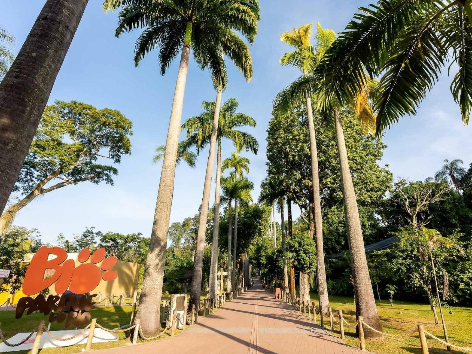 Apartemen Santa Tereza - Conforto + 1 Ticket Ou Transfer Rio de Janeiro